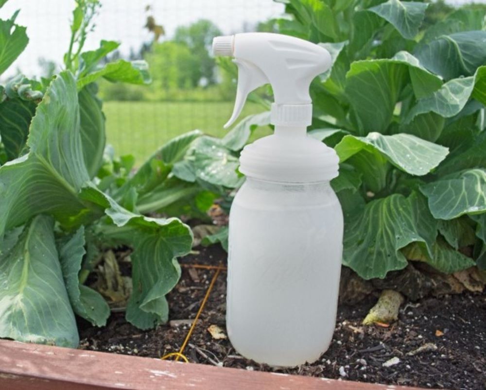 reCAP® Mason Jar Sprayer Lid, Unpackaged - Case of 25