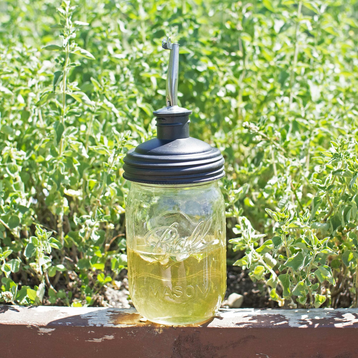 reCAP® Mason Jar Pour Spout Lid, Unpackaged - Case of 25