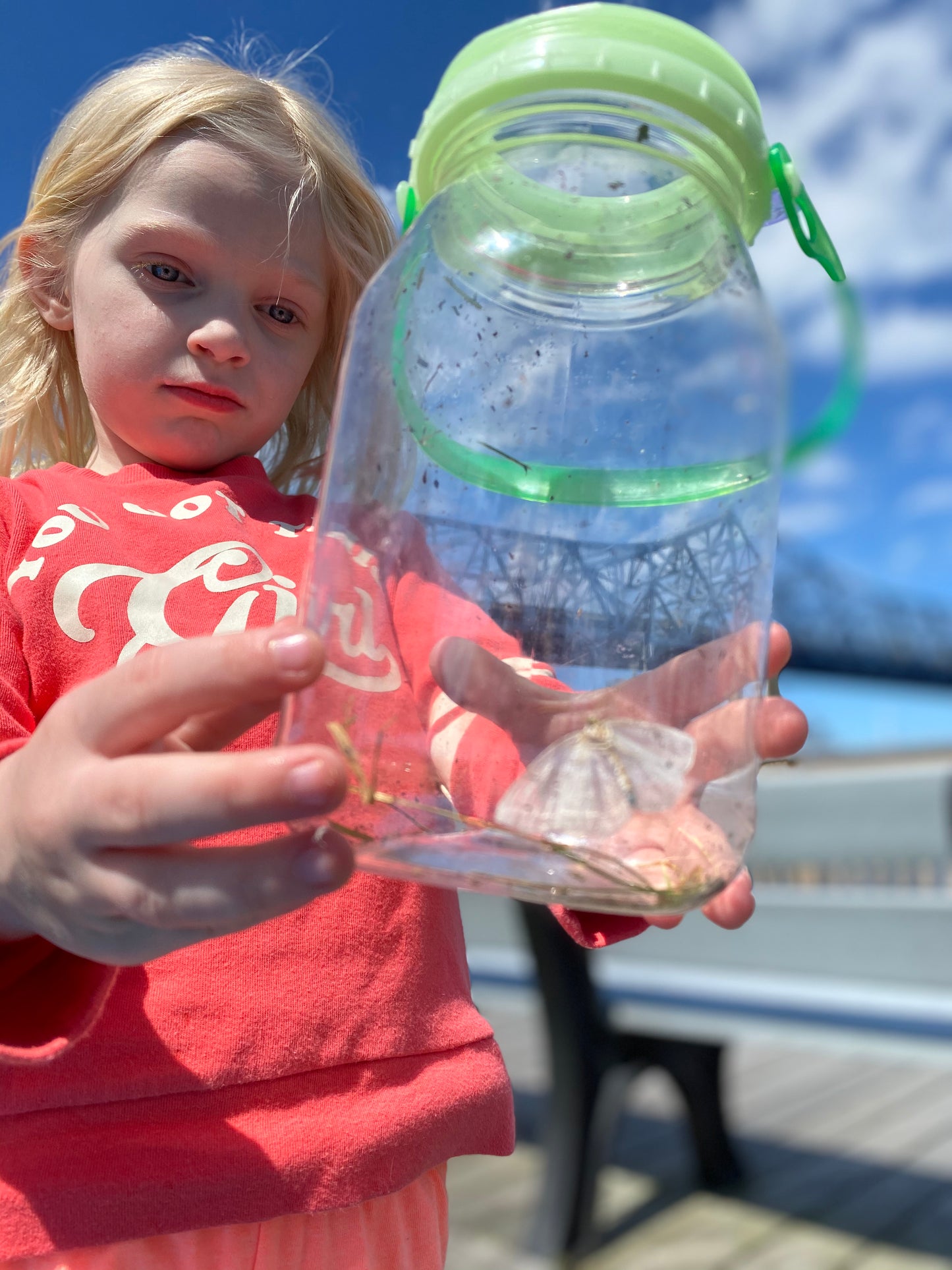 reCAP Kids® EXPLORE Mason Jar Bug Catcher and Habitat