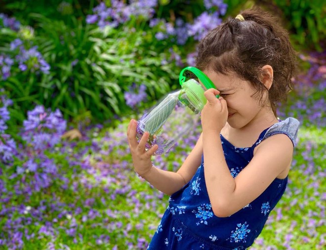 Learn About Butterflies: A Hands-On Activity for Kids