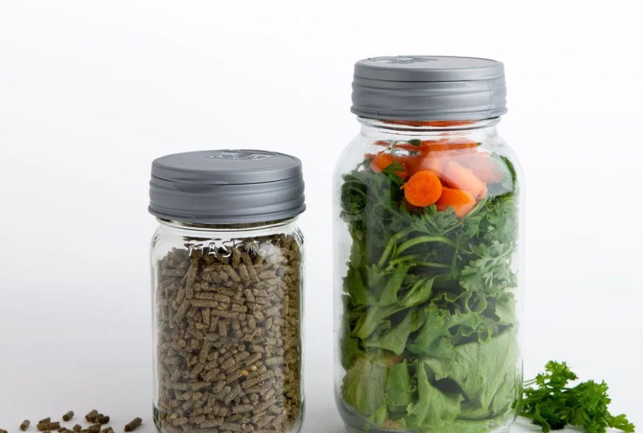 Bunny Meal Prep: Easy Mason Jar Salads for Your Rabbit