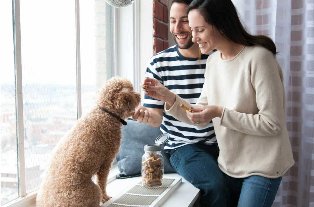 Homemade Dog Treats with Peanut Butter & Bacon