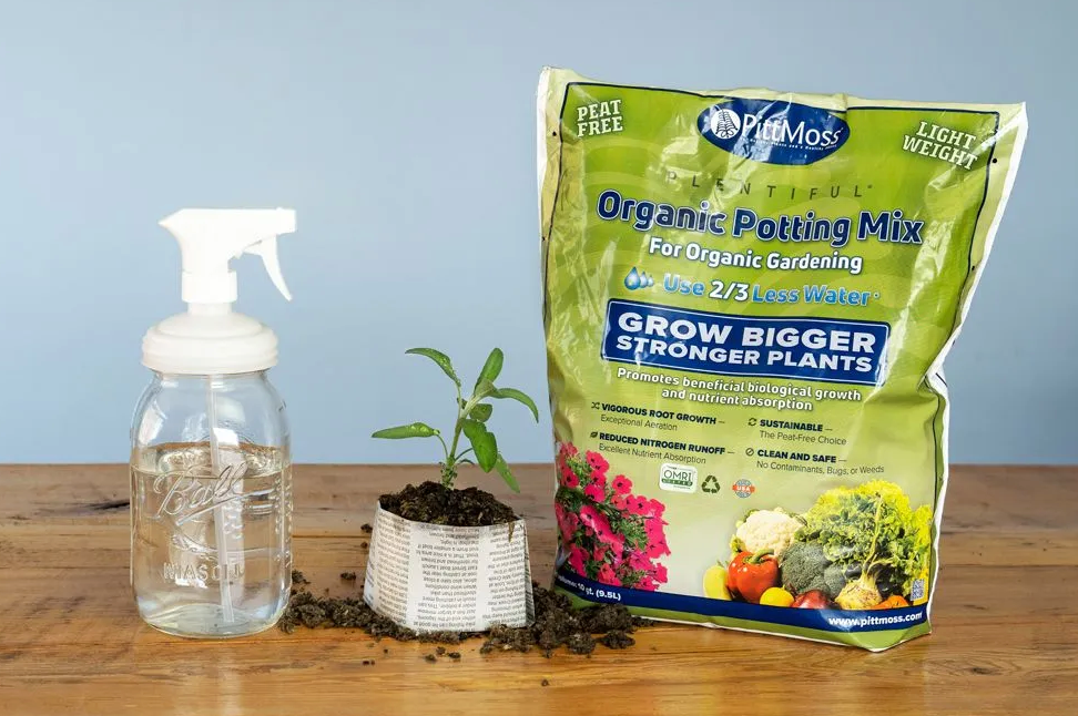 DIY Newspaper Planting Pot