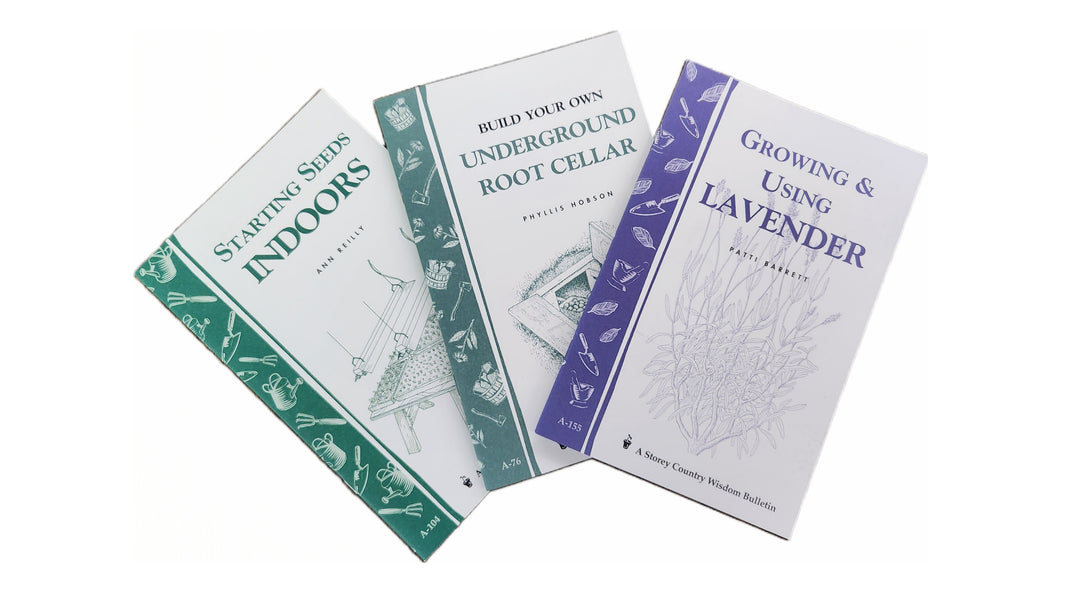 New Books &amp; Publications