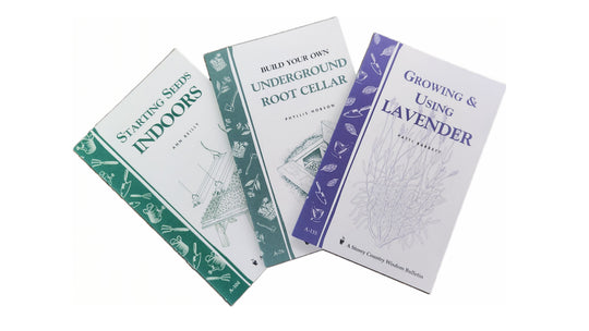 New Books &amp; Publications