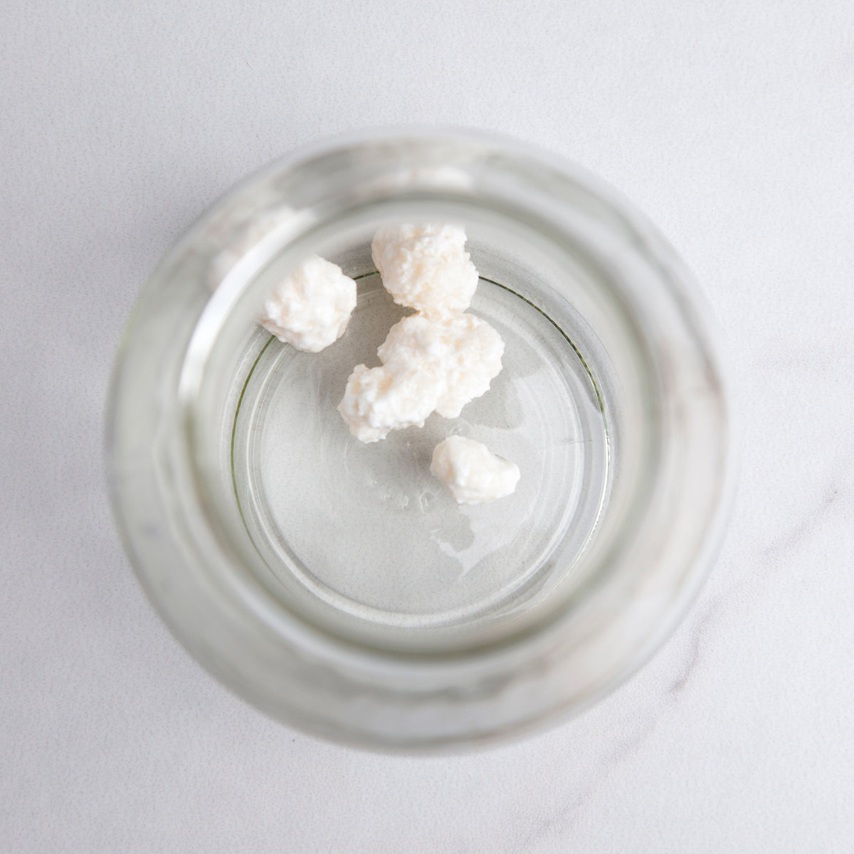 reCAP® Mason Jars Kefir Kit reCAP Mason Jars