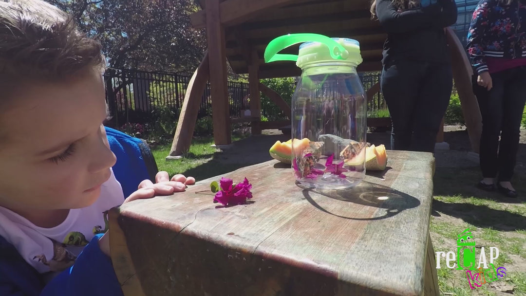 reCAP Kids® EXPLORE Mason Jar Bug Catcher and Habitat