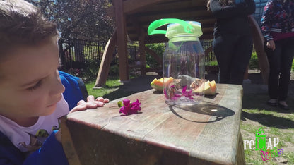 reCAP Kids® EXPLORE Mason Jar Bug Catcher and Habitat