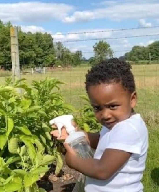 reCAP® Mason Jars Lids 6Piece Gardening Kit reCAP Mason Jars