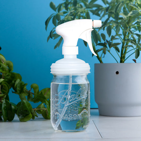 reCAP® Mason Jar Lids 6-Piece Gardening Kit
