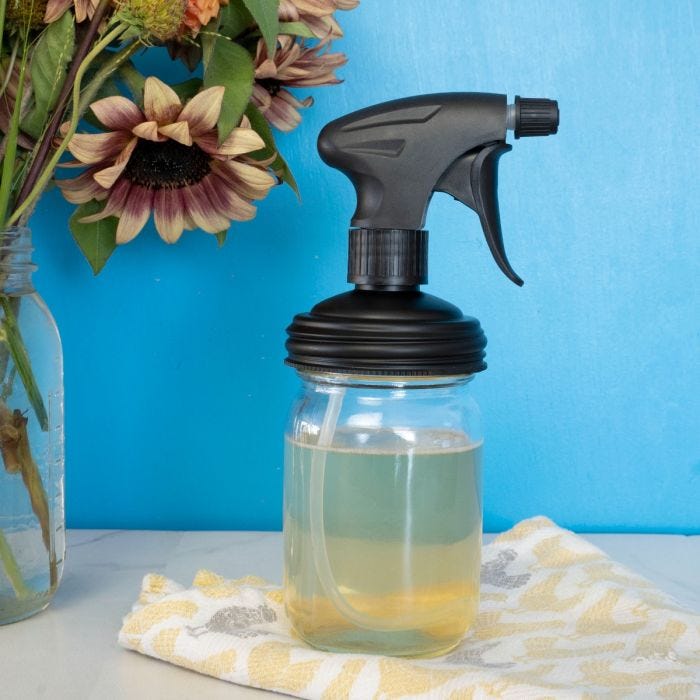 Black reCAP® Mason Jar Sprayer Lid on a regular mouth Mason jar